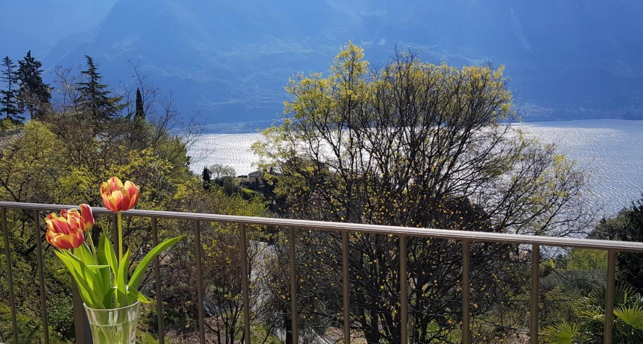 Loft Diva Lake View By Gardadomusmea Tremosine Extérieur photo